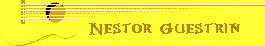 Nstor Guestrin
